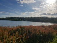 QE2 lake, Woodhorn