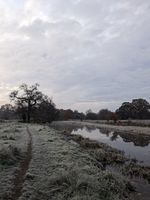 Photo 2 of St Catherine's, River Wey, Guildford