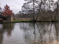 River Wet, Artington, Guildford