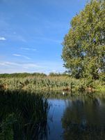 River Nene 1km get in