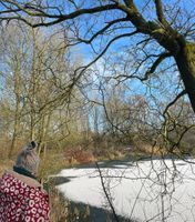 Photo 2 of Whitmore Lakes