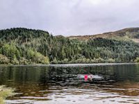 Photo 3 of Loch Chon, Aberfoyle