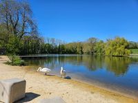 Photo 3 of Waresley estate park