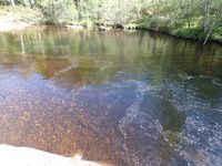 Photo 2 of Dog Falls, Glen Affric