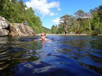 Photo 3 of Dog Falls, Glen Affric
