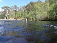 Photo 5 of Dog Falls, Glen Affric