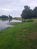 Photo 5 of Court Farm Lakes