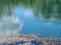 Photo 4 of Andark Lake