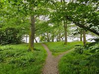 Path to water side. Stay within the ropes to protect the environment. 
