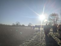 Photo 4 of Garrick's Ait - Hurst Park