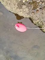 Photo 5 of Summer Leys