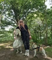 Jupiter Artland - Wild Swim
