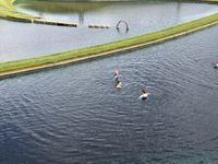 Photo 5 of Jupiter Artland - Wild Swim