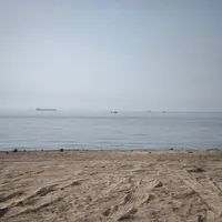 Photo 2 of Lulayah to Khorfakkan swim