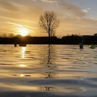 Swimming at sunrise is beautiful and avoids the river traffic. Keep an eye out for rowers though.