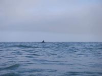 Photo 2 of Aberporth - Dolwen