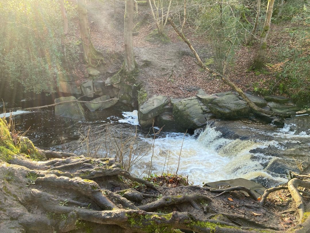 Photo of Rivelin Plunge