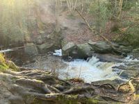 Rivelin Plunge