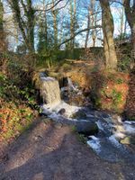 Photo 5 of Rivelin Plunge