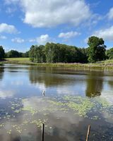 Photo 3 of AshdownForestLeisure