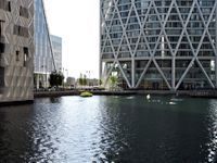 Photo 4 of Love Open Water - Canary Wharf