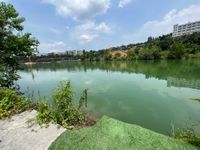 Photo 4 of 清水湾码头