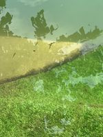 Photo 3 of 清水湾码头