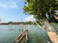 Photo 5 of 清水湾码头