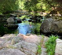 Photo 4 of River Esk Dalegarth