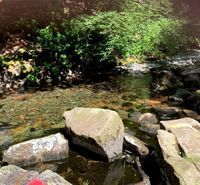 Photo 3 of River Esk Dalegarth