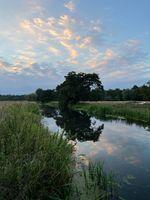 The water just beyound our entry point