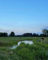 View across the fields