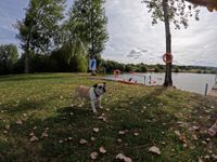 Photo 2 of Watersedge Watersports