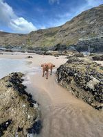 Photo 2 of Watergate Bay
