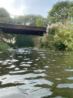 Photo 2 of Middleton