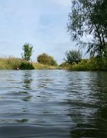 Photo 3 of Middleton