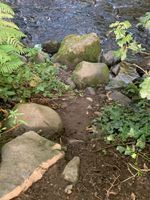 Access from some pitches can be steep 