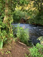 Harford Bridge Campsite