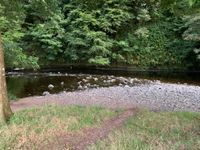 The 'beach' access is easy and shallow 