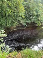 Photo 4 of Stainforth falls