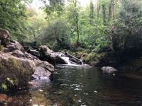 Photo 3 of River Erme