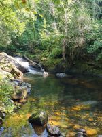 Photo 2 of River Erme