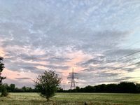 Photo 3 of Rose Isle