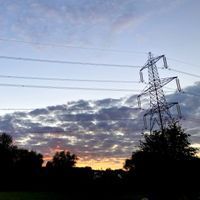 Photo 4 of Rose Isle