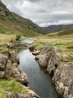 Photo 2 of Black Moss Pott