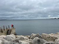 Photo 2 of Newton’s Cove