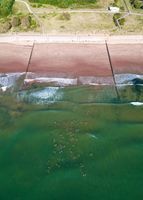 Exeter Open Water Swimming Society