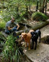 Photo 3 of Respryn Bridge, River Fowey