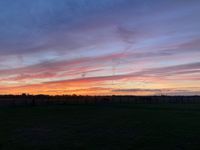 Photo 5 of Port Meadow