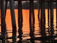 Photo 5 of Flathead Lake - Salish Point Park